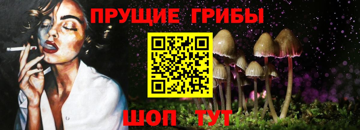 Тейково  Галлюциногенные грибы GOLDEN TEACHER  Вход с VPN 